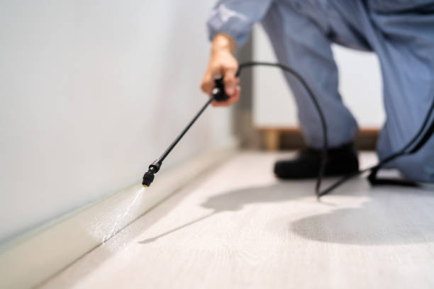 Licensed Ant Control service in Harleigh, PA - Show Me Pest Control